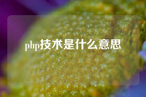 php技术是什么意思