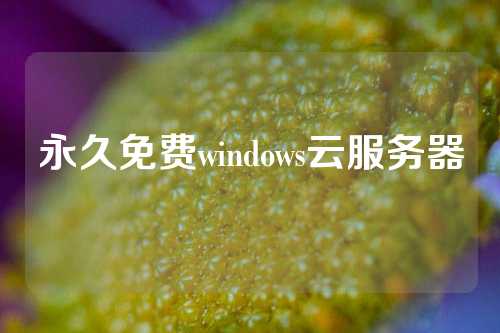 永久免费windows云服务器