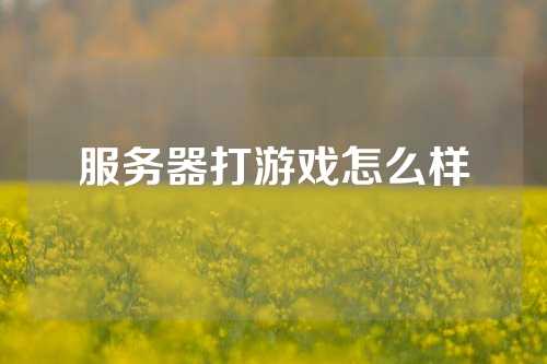 服务器打游戏怎么样