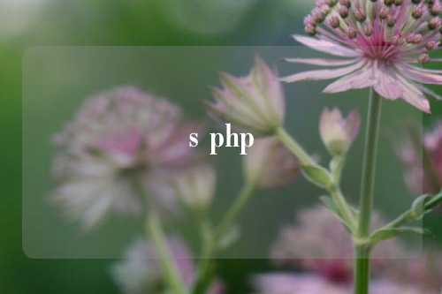 s php