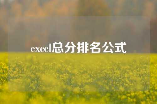 excel总分排名公式