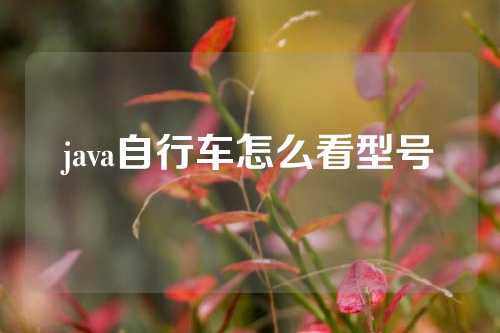 java自行车怎么看型号