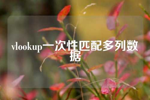 vlookup一次性匹配多列数据