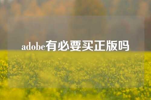 adobe有必要买正版吗