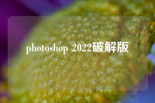 photoshop 2022破解版