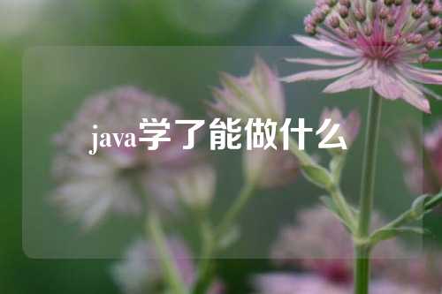 java学了能做什么