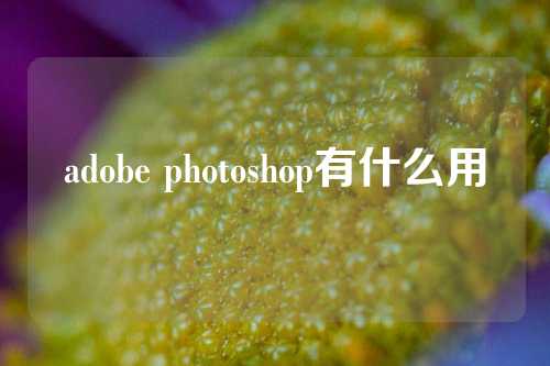 adobe photoshop有什么用