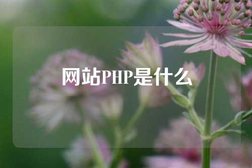 网站PHP是什么