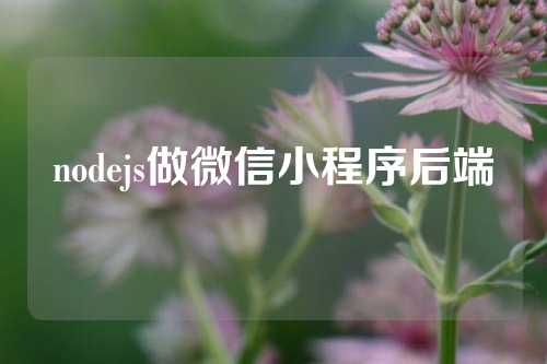 nodejs做微信小程序后端