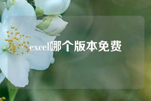 excel哪个版本免费