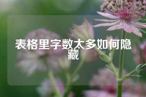 表格里字数太多如何隐藏