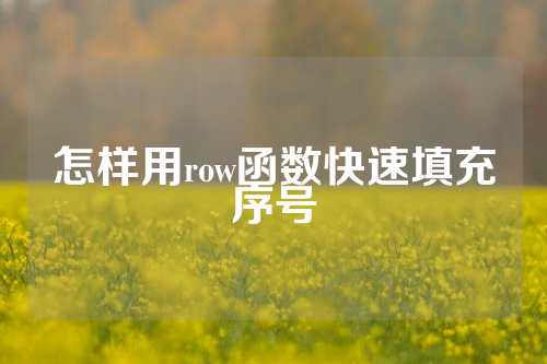 怎样用row函数快速填充序号