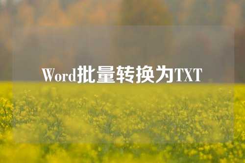 Word批量转换为TXT