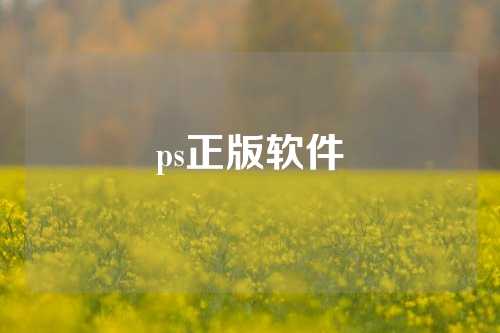 ps正版软件