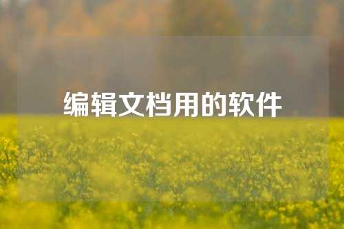 编辑文档用的软件