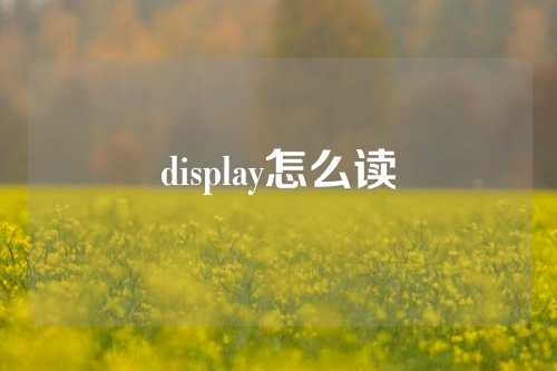 display怎么读