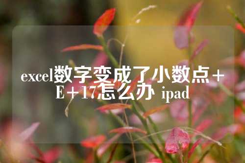 excel数字变成了小数点+E+17怎么办 ipad