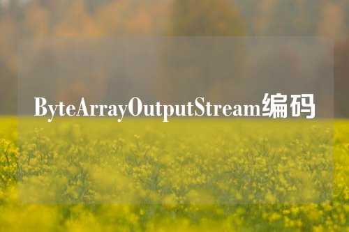 ByteArrayOutputStream编码