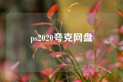 ps2020夸克网盘