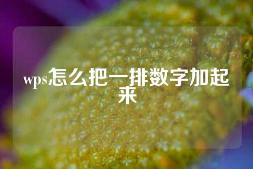 wps怎么把一排数字加起来