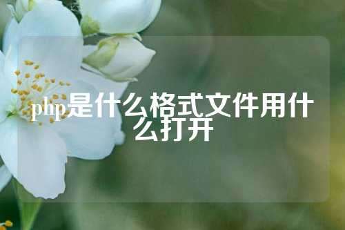 php是什么格式文件用什么打开