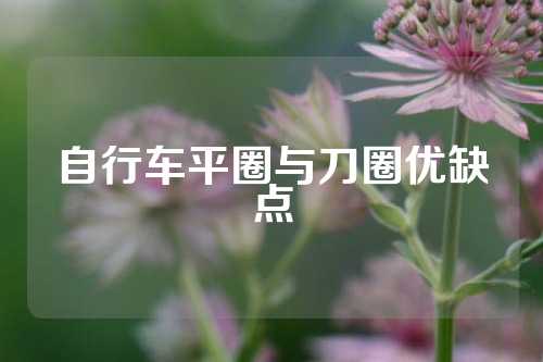 自行车平圈与刀圈优缺点