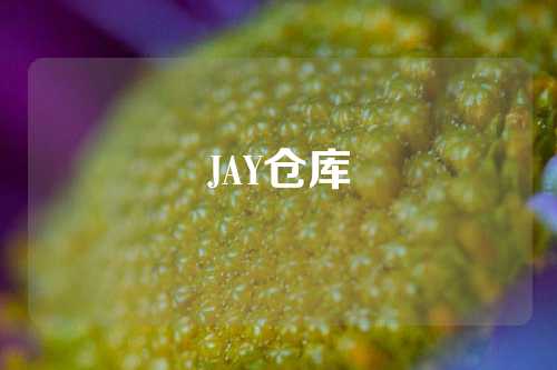 JAY仓库