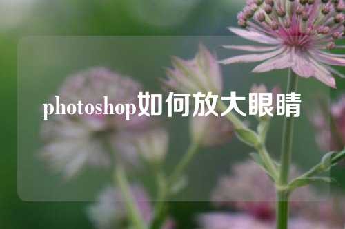 photoshop如何放大眼睛