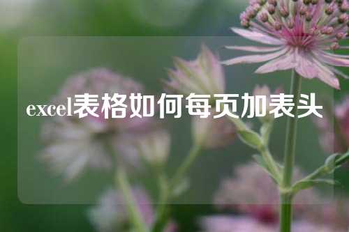 excel表格如何每页加表头