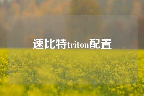 速比特triton配置