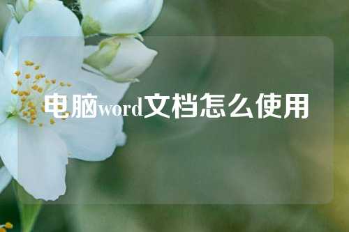 电脑word文档怎么使用