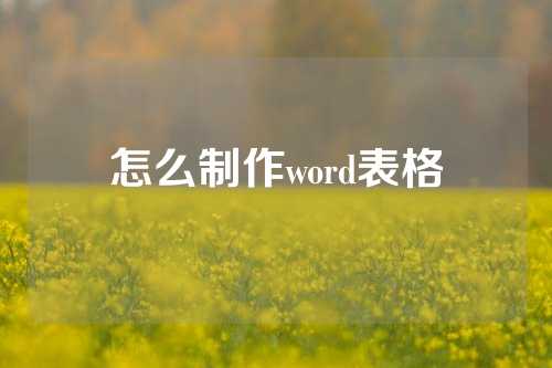 怎么制作word表格