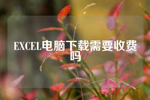 EXCEL电脑下载需要收费吗