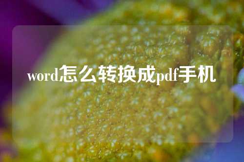 word怎么转换成pdf手机