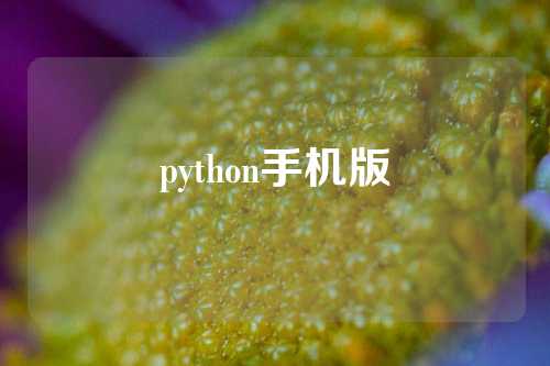 python手机版