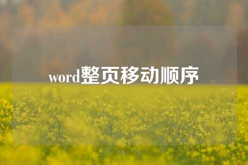 word整页移动顺序