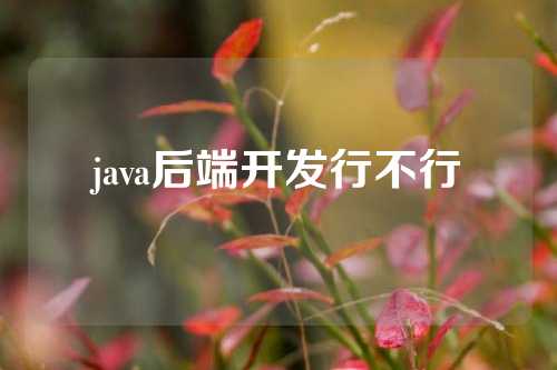 java后端开发行不行