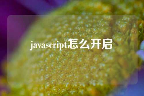 javascript怎么开启