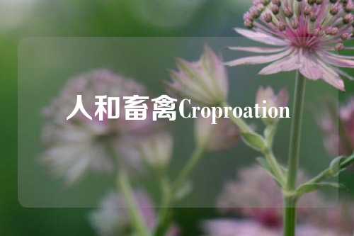 人和畜禽Croproation