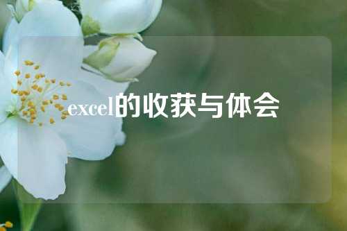 excel的收获与体会