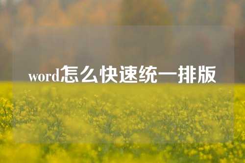 word怎么快速统一排版