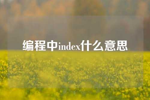 编程中index什么意思