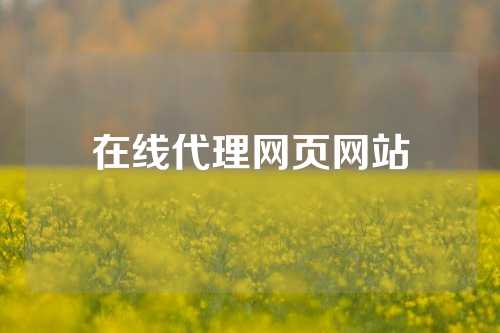 在线代理网页网站