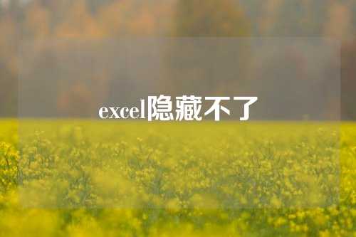 excel隐藏不了