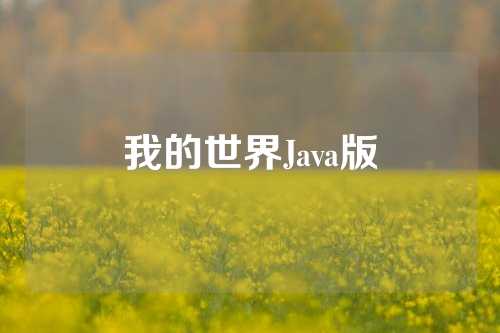 我的世界Java版