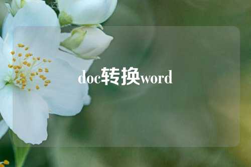 doc转换word