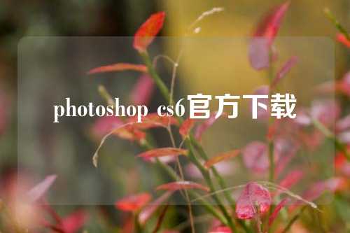 photoshop cs6官方下载