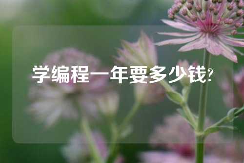 学编程一年要多少钱?