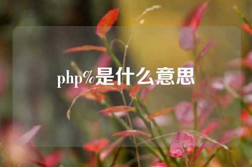 php%是什么意思