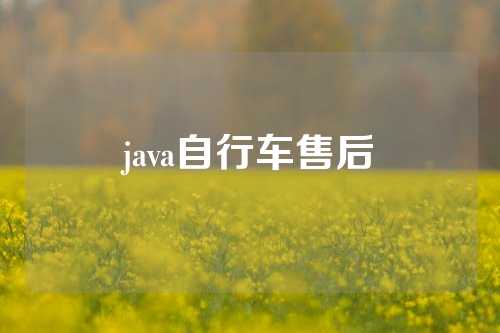 java自行车售后